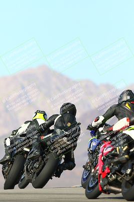 media/Jan-13-2024-SoCal Trackdays (Sat) [[9c032fe5aa]]/Turn 9 Backside (110pm)/
